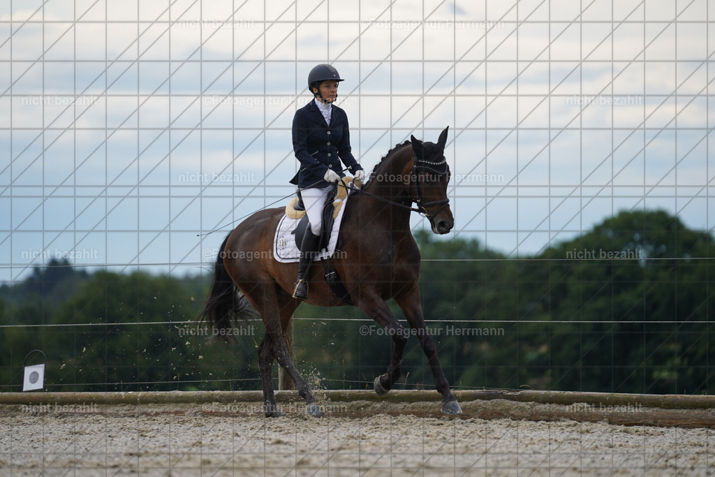 20230826-FAH04385 | Forstinning, 2023, Dressurturnier, Turniersportbilder, Turnierfotografen Bayern, Fotoagentur Herrmann, Reitsportfotografie, Turnierbilder