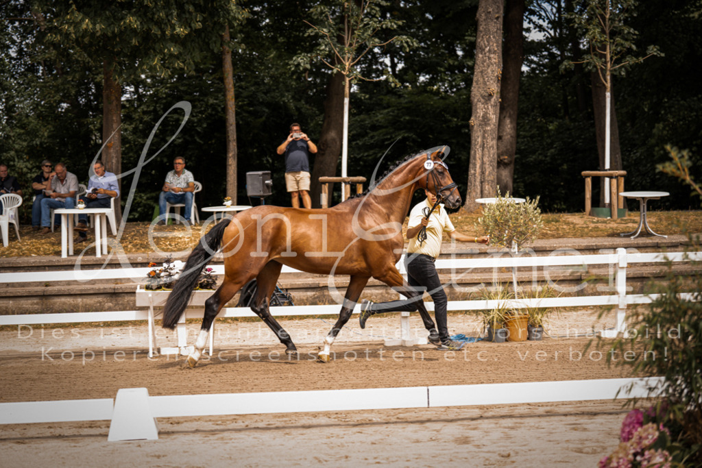 4.Fr00009 | Leoni Ertmer Photography - Realisiert mit Pictrs.com