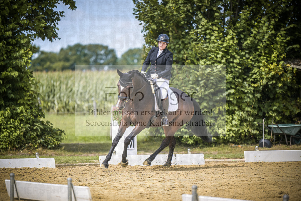 DOS_4212 | Entdecke hochwertige Reitturnierfotos von Foto Oger. Professionell, emotional und authentisch – jetzt Lieblingsmomente im Shop bestellen.Deutschlandweite Turnierfotografie. - Realisiert mit Pictrs.com