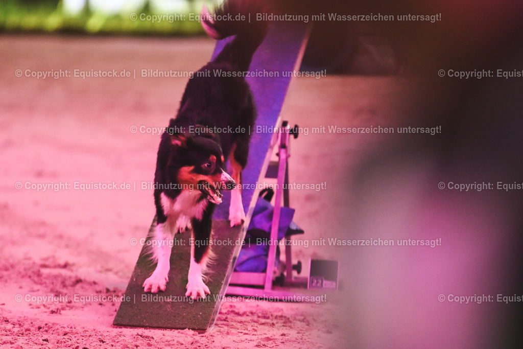 20241113_Showabend_TOMsPiC_0514 | Foto: Thomas Hartig