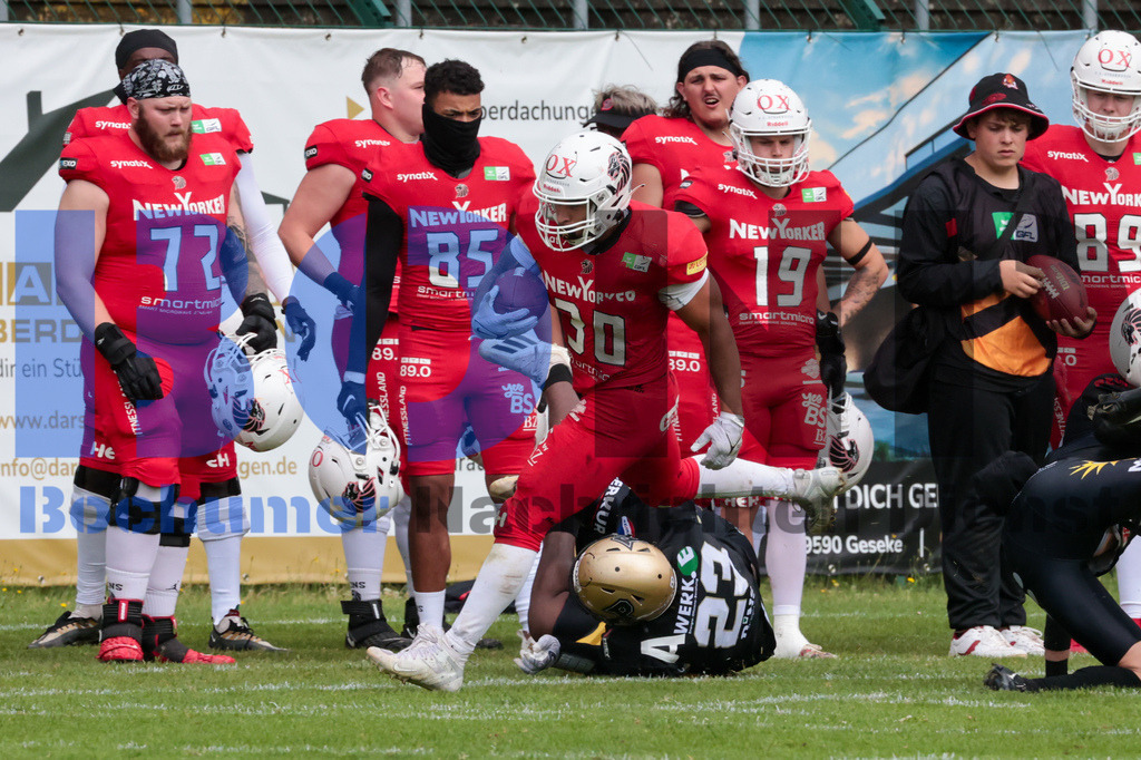 GFL: Paderborn Dolphins vs. New Yorker Lions{date} -  | {headline}(Foto: Sebastian Sendlak / BOND) - Realisiert mit Pictrs.com