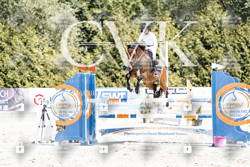CK900267 | Turnierfotografie Pferdefotografie Trier Rheinland-Pfalz Pferdesport Reitsport Tierfotografie Sportfotografie Pferdevideo Pferdevideografie Equestrianvideography equestrianphotography  - Realisiert mit Pictrs.com