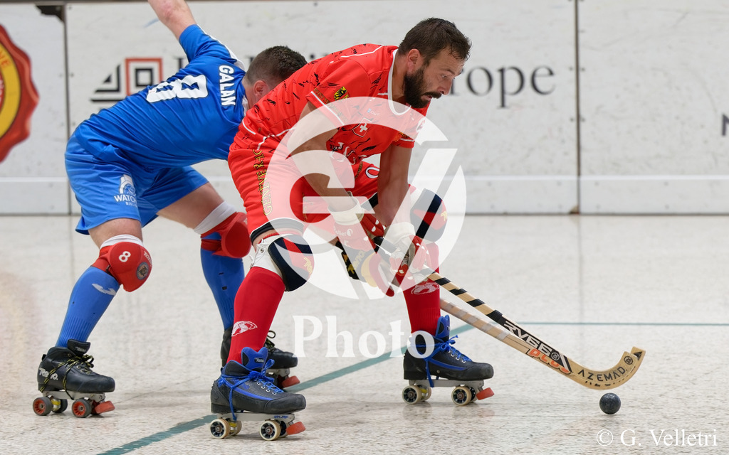 DSC_5757_1 | Velletri Photo