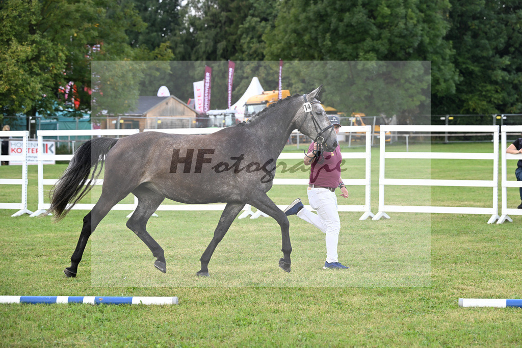 Kat-Nr. 14 Fleur Delacour v. Cayado_Dietrich_30250210 | hf-fotografie - Realisiert mit Pictrs.com