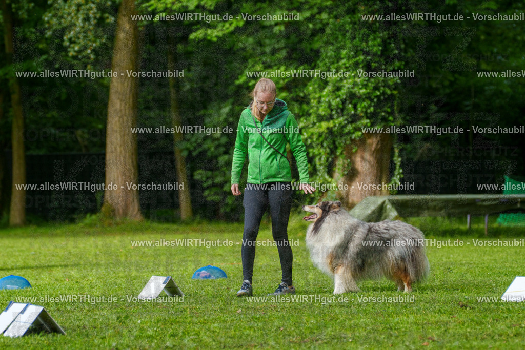 @allesWIRTHgut_Tierfotografie - www.allesWIRTHgut.de - 7R502120 | Professionelle Tierfotografie in Mönchengladbach von Daniel Wirth (allesWIRTHgut). Liebevolle & natürliche Bilder von Hunden & Katzen für unvergessliche Erinnerungen.