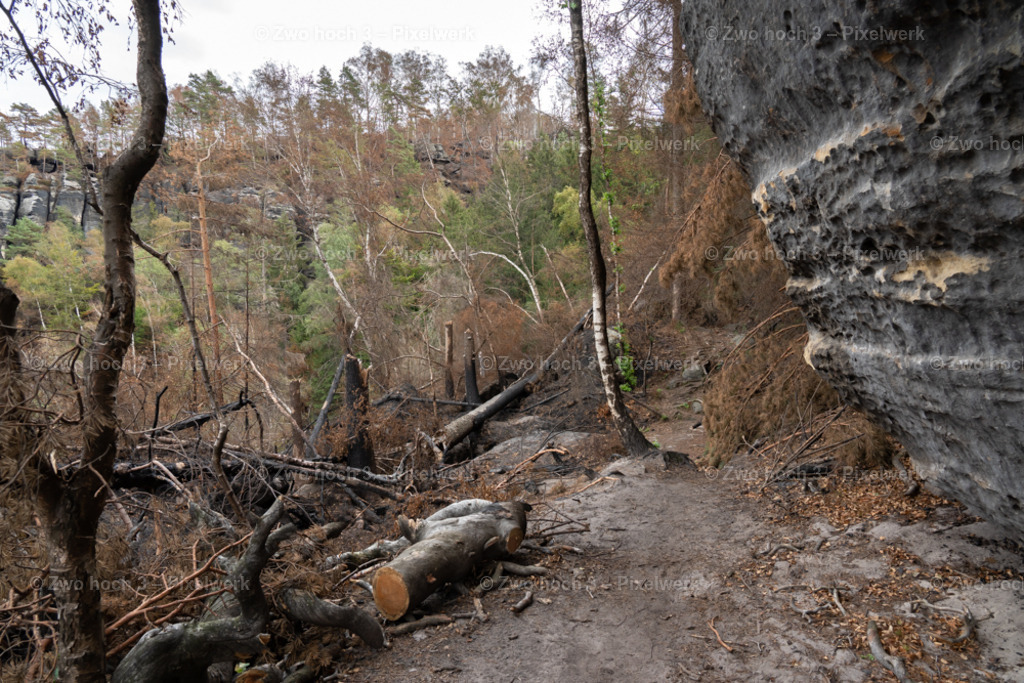 Obere_Affensteinpromenade_Siegfried_Bergfried_Felswand_Waldbrand | 2022-09-02_Waldbrandgebiete_2 - Realisiert mit Pictrs.com