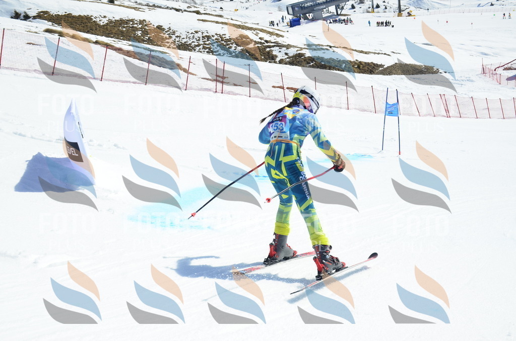 _ELE1023 | holidayphoto