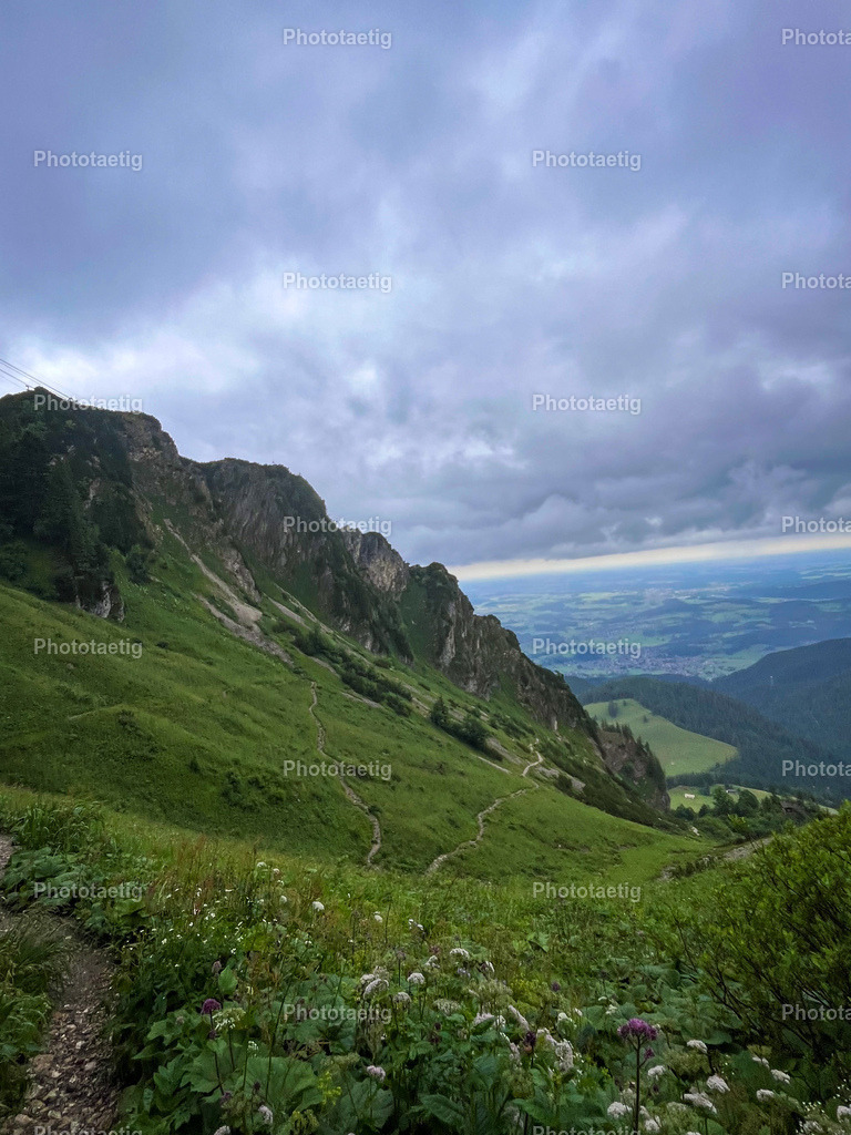 IMG_4122 | phototaetig