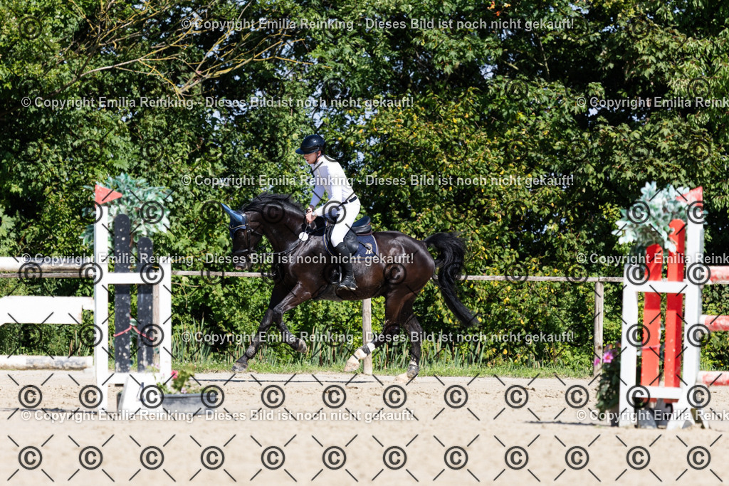 CL5A1184 | Emilia Reinking Fotografie - Realisiert mit Pictrs.com