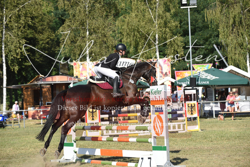 DSC_5383 | Pferde- und Turnierfotografie in Westsachsen. Pferdeportraits, Auftragszeichnungen und intuitive Kunst.