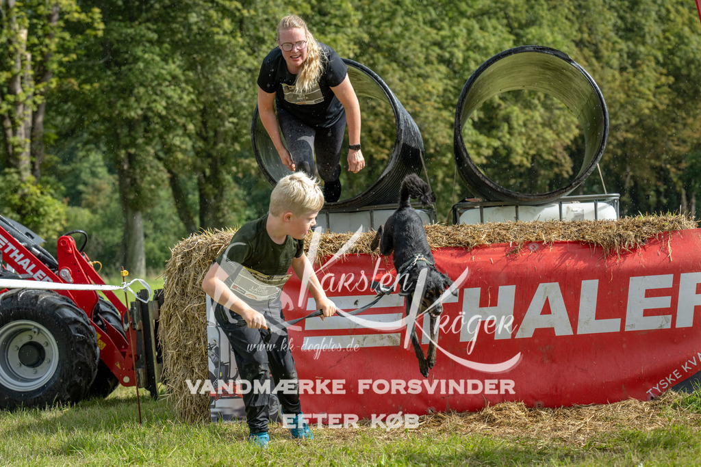 1117_ZZ93874 | kk-dogfotos