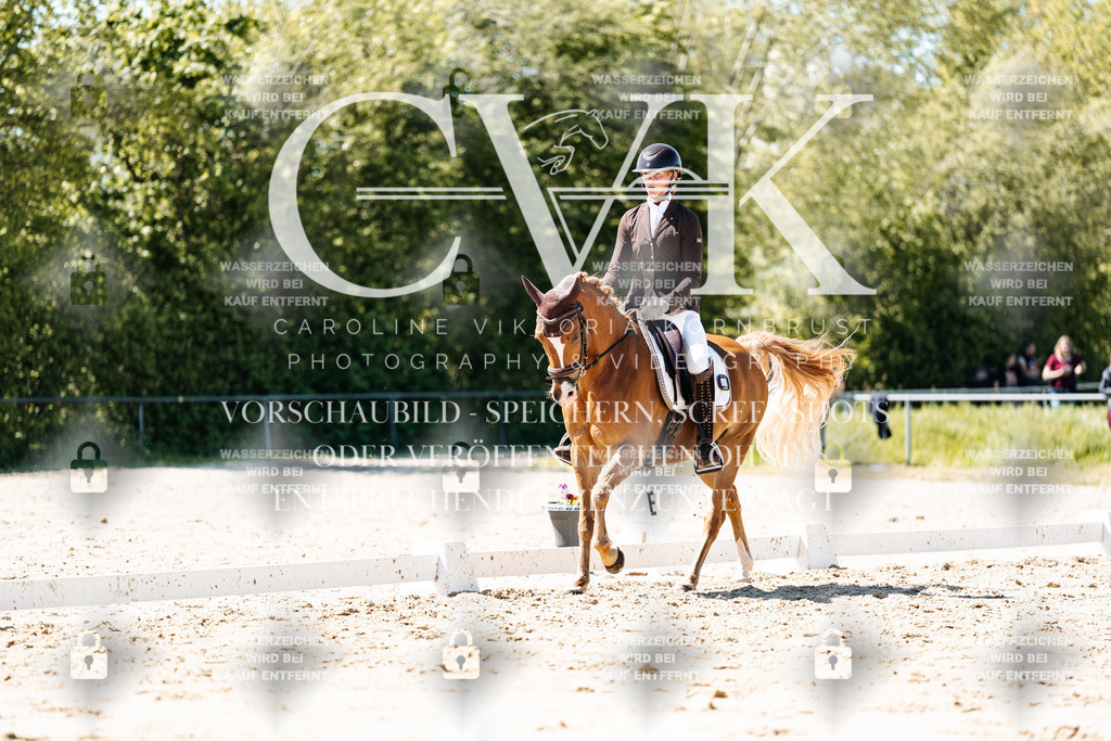 CK905556 | Turnierfotografie Pferdefotografie Trier Rheinland-Pfalz Pferdesport Reitsport Tierfotografie Sportfotografie Pferdevideo Pferdevideografie Equestrianvideography equestrianphotography  - Realisiert mit Pictrs.com