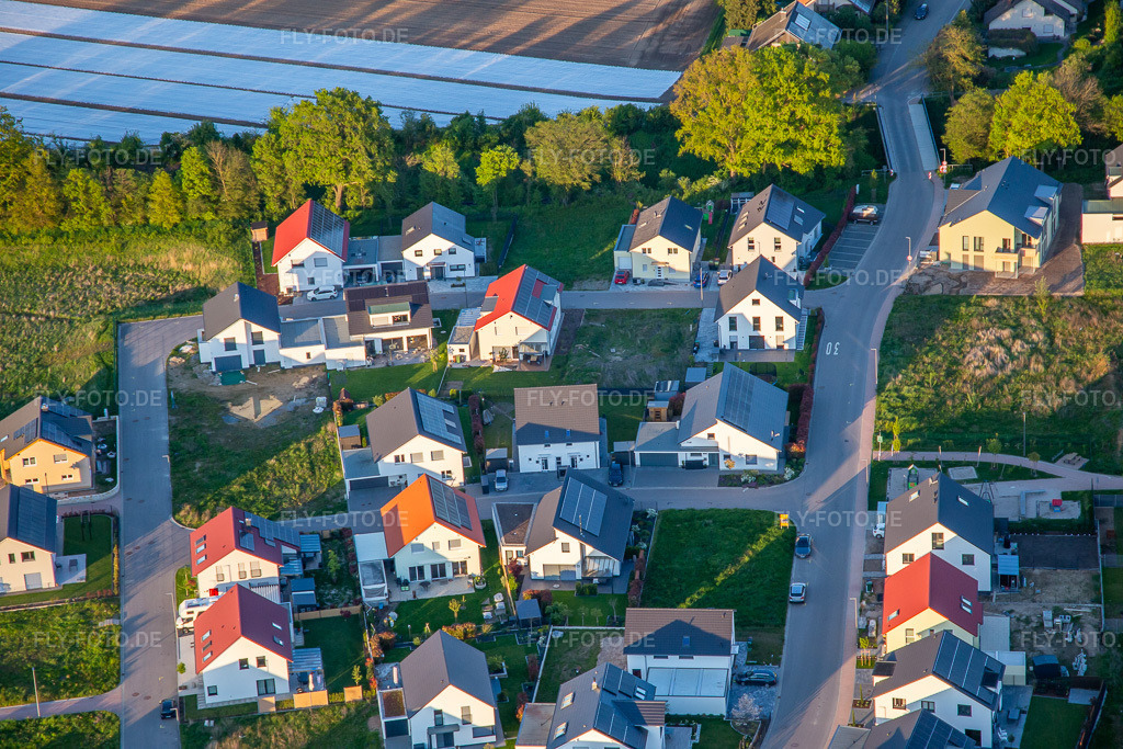 Luftbild: Narzissen- und Veilchenweg in Kandel im Bundesland Rheinland-Pfalz in Deutschland. Foto: IMG_140368.jpg vom 23.04.2024 durch Werner Riehm/FLY-FOTO.de