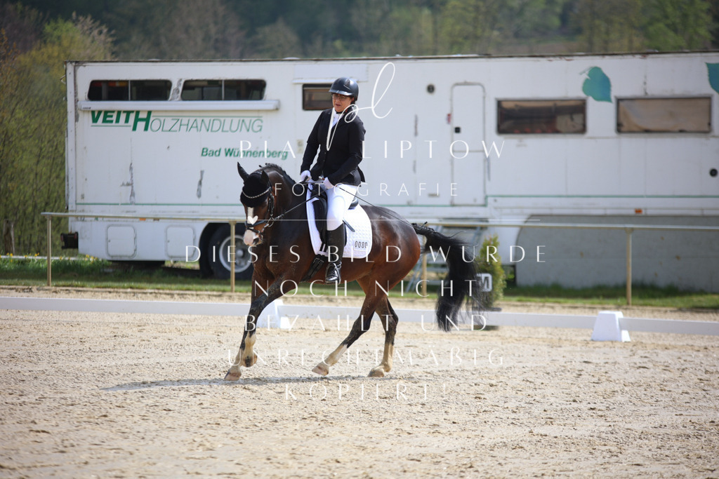 IMGT2524 | pl-fotografie