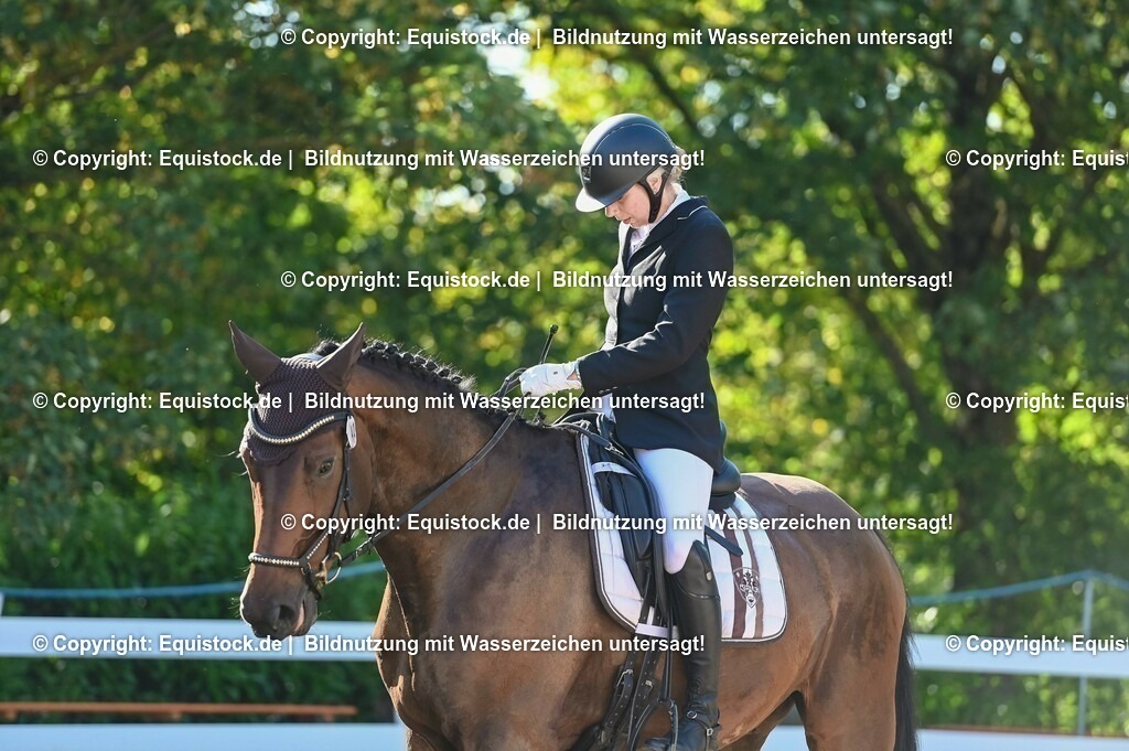 20230715_06_Dressurpferdeprfg. Kl.A_0056 | equistock