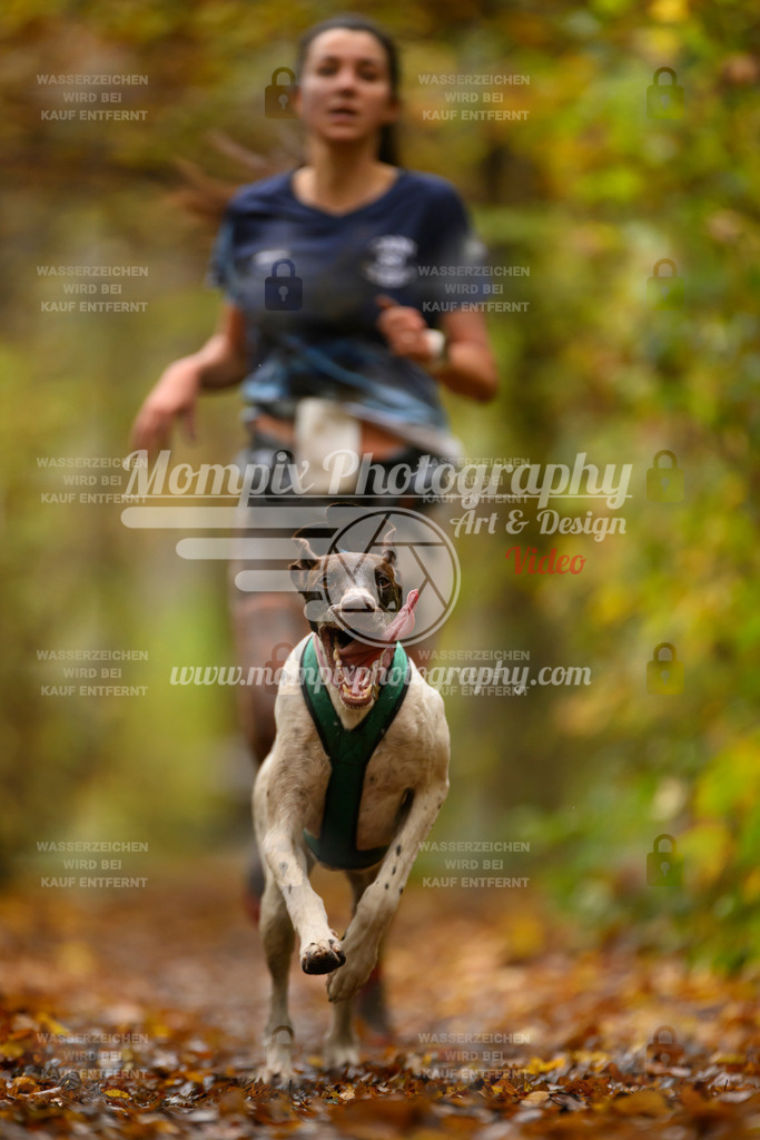 MompixPhotography_CD7S_DI_CCL-34 | mompixphotography