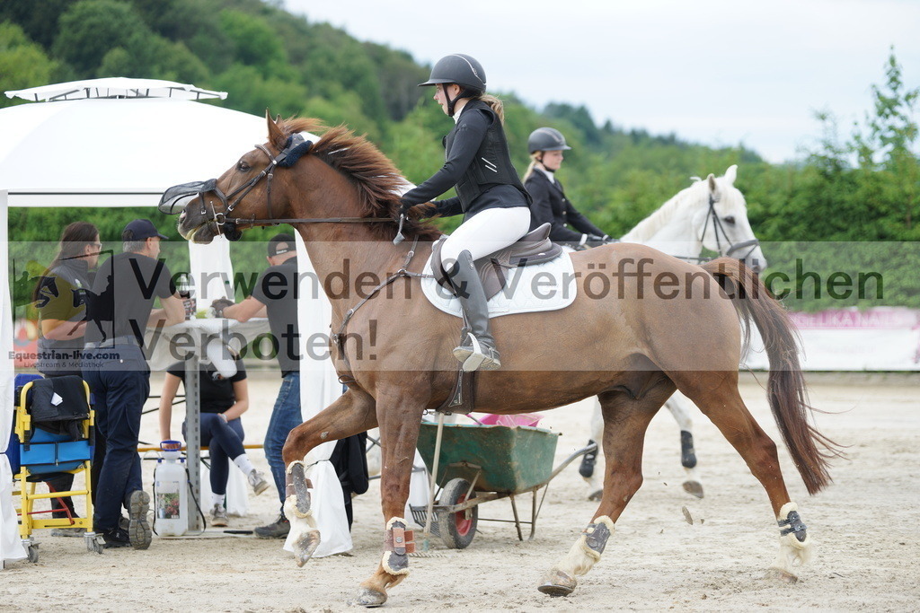 DSC06593 | equestrian-live-com