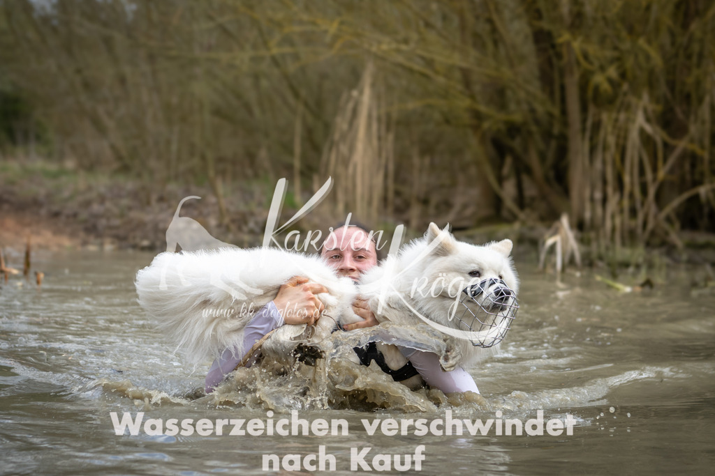 1557_ZZ94993 | kk-dogfotos