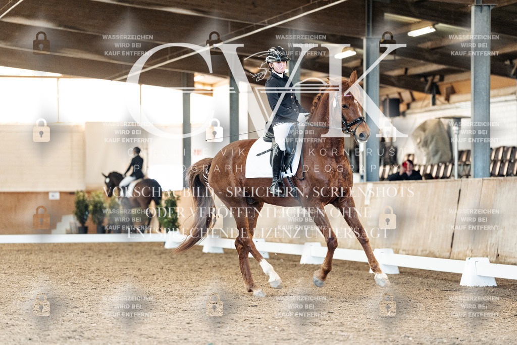 CK908360 | Turnierfotografie Pferdefotografie Trier Rheinland-Pfalz Pferdesport Reitsport Tierfotografie Sportfotografie Pferdevideo Pferdevideografie Equestrianvideography equestrianphotography  - Realisiert mit Pictrs.com