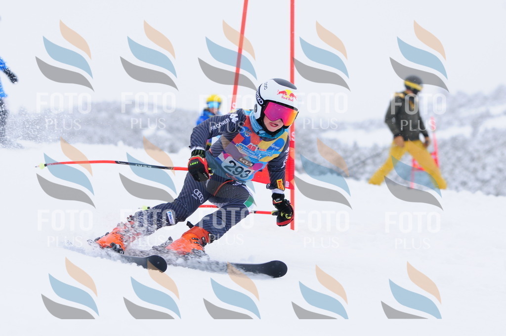 C3089 | holidayphoto