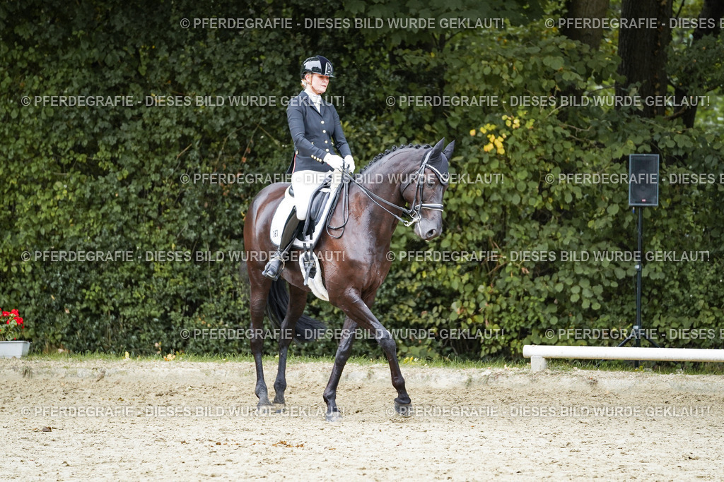 DSC01474 | Pferdegrafie