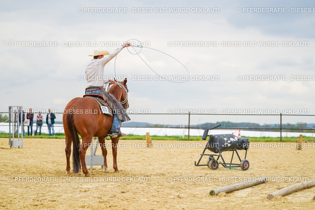 DSC07147 | Pferdegrafie