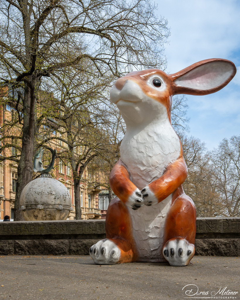 DSC_1918 2 | Fotografien, Fotos und Bilder aus Mainz, Frankfurt, Wiesbaden und anderen Orten auf der Welt - Fotografiert von Darius Metzner