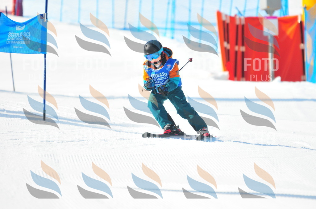 B8821 | holidayphoto