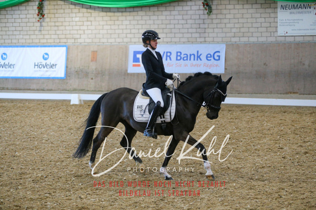 IMG_2791 | Turnierfotos kaufen im Webshop von Daniel Kuhl Photography – entdecke professionelle Reitsportfotos aus Turnieren & Events. Hochwertige Turnierbilder online bestellen & sichern. Jetzt Fotos von Reitsportturnieren kaufen!