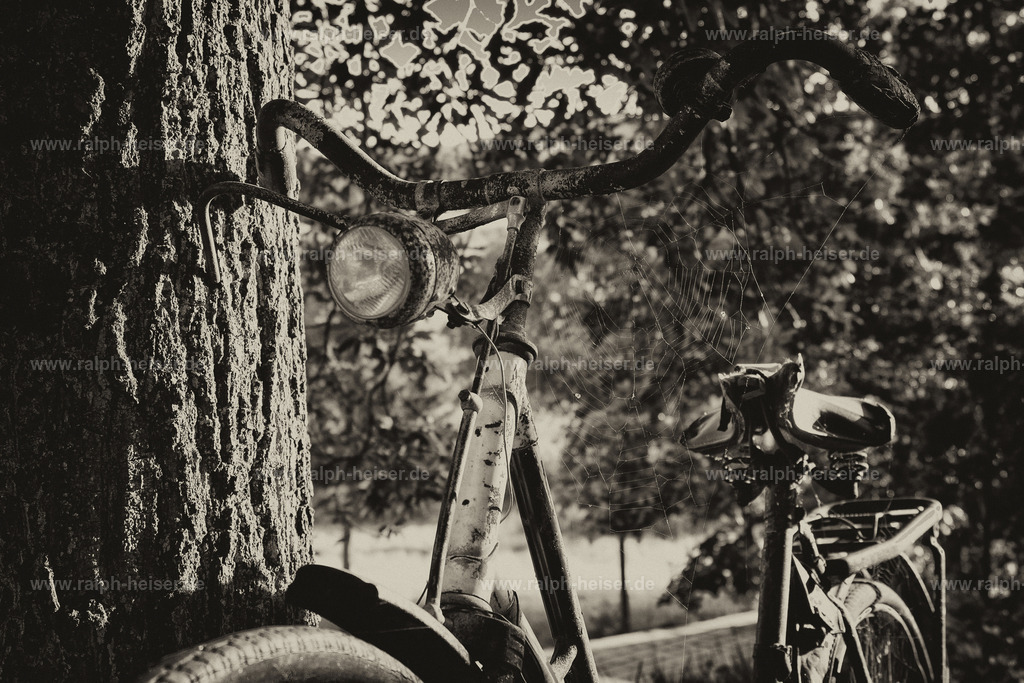 Fahrrad_01 | Wandbilder, Bilder, Fotograf in Marburg, Tierbilder, Wandfotos, Bilder Shop, Günstige Bilder, Schwarz-Weiß Bilder, Ralph Heiser