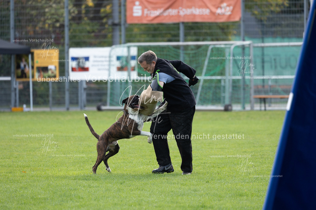 _16A6552 | Einzigartige Fotos von Hunden & Menschen –Actionfotos, Portraits, Vereinsaufnahmen & Paarshootings – authentisch, lebendig & mit Herz.