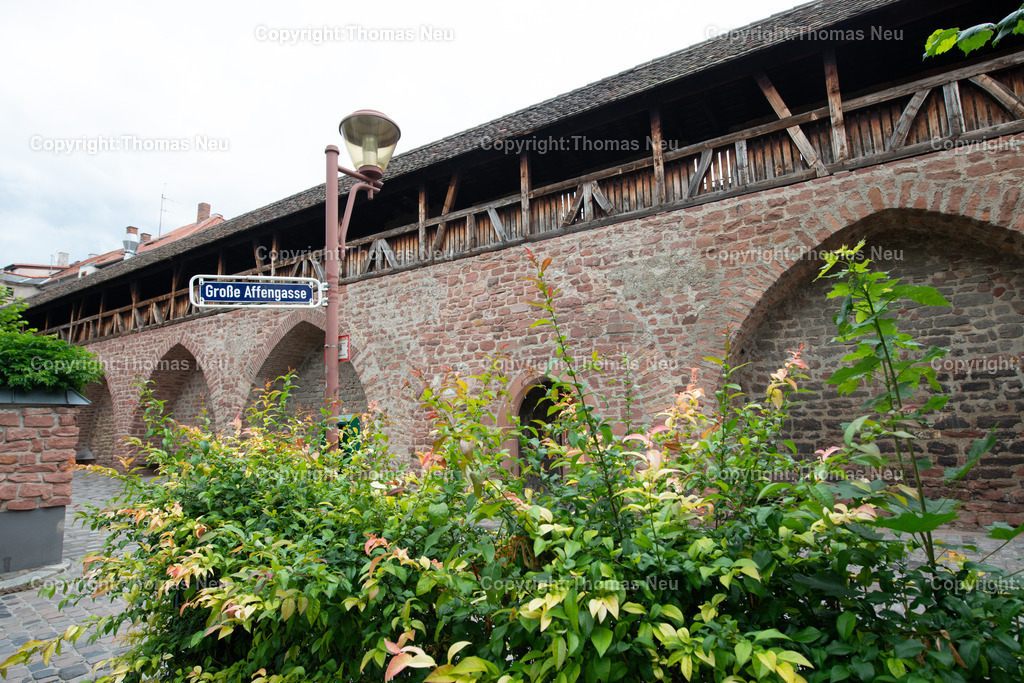 Worms-2025_DSC1446 | Worms, Stadtmauer an der Großen Affengasse, ,, Bild: Thomas Neu
