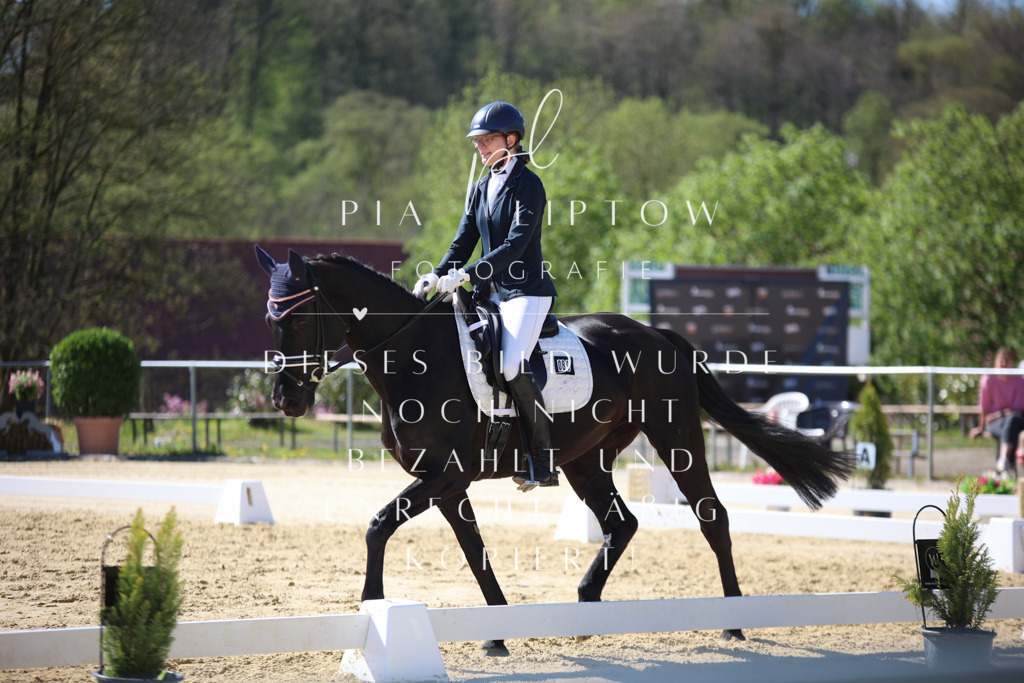 IMGT9882 | pl-fotografie