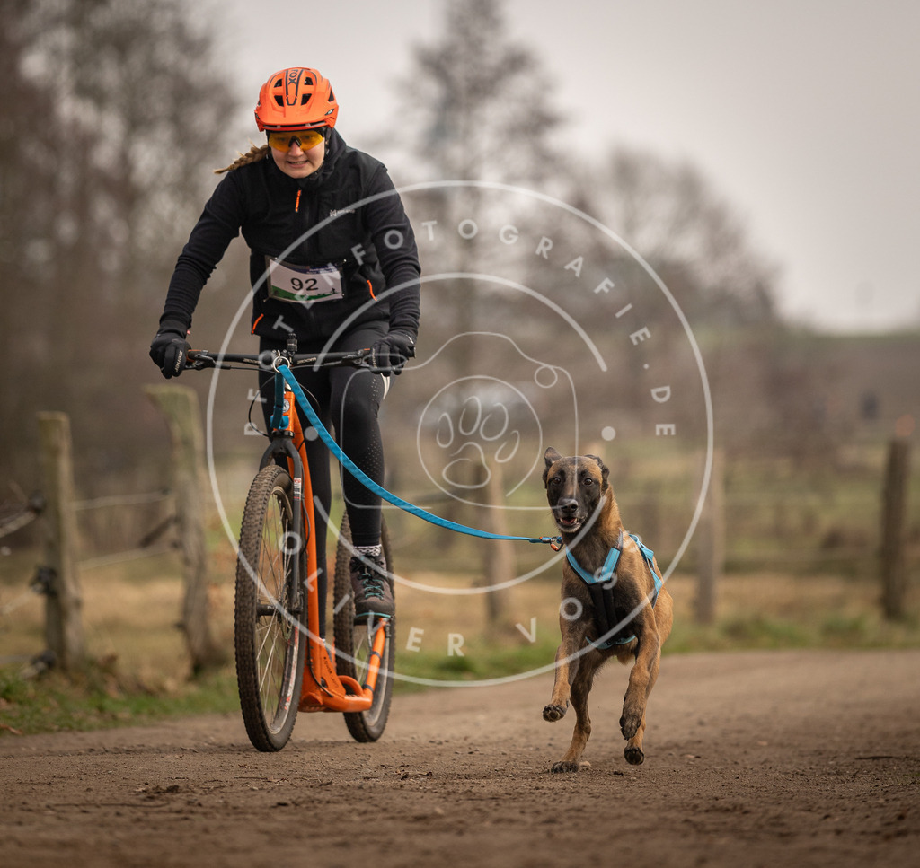 Pfotenfotografie_DV3A4275 | Hundefotografie, Tierfotograf, Pfotenfotografie, Fotoshooting Hund, Hunde Portrait, Hundesport, Hundeportraits, Heideshooting, Hunde, Sportfotograf, Hundefotograf, Turnierhundsport, THS,  - Realisiert mit Pictrs.com