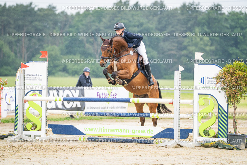 DSC00862 | Pferdegrafie