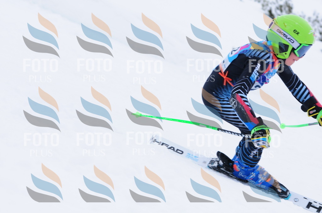 C2277 | holidayphoto