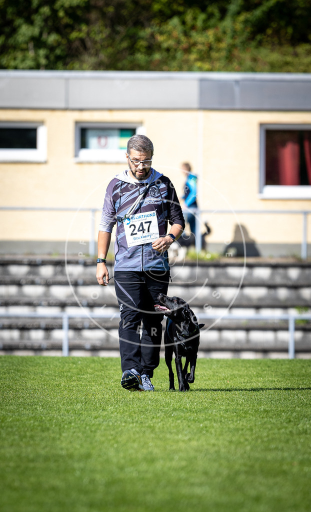 Pfotenfotografie_DV3A4949 | Hundefotografie, Tierfotograf, Pfotenfotografie, Fotoshooting Hund, Hunde Portrait, Hundesport, Hundeportraits, Heideshooting, Hunde, Sportfotograf, Hundefotograf, Turnierhundsport, THS,  - Realisiert mit Pictrs.com