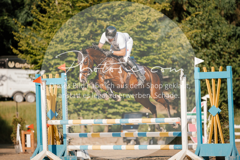3I6A6045 | Stimmungsvolle Portraits und Reitsportfotografie im Ruhrgebiet und im Münsterland.

Pferdefotografie, Hundefotografie, Tierfotografie, Reportagen, Portraits von Tier und Mensch, Turnierfotografie in Bochum, Recklinghausen, Marl, Haltern am See, Dülmen.. - Realisiert mit Pictrs.com