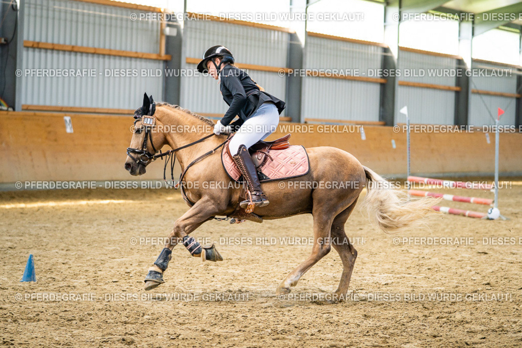 DSC01275 | Pferdegrafie