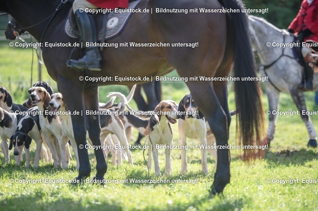 20251011_Jagd-Marbach_0148 | Foto: Thomas Hartig