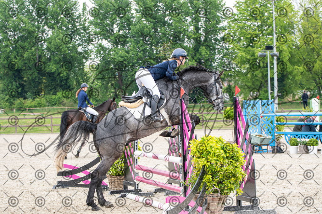 KPT_2235 | andre_photographic