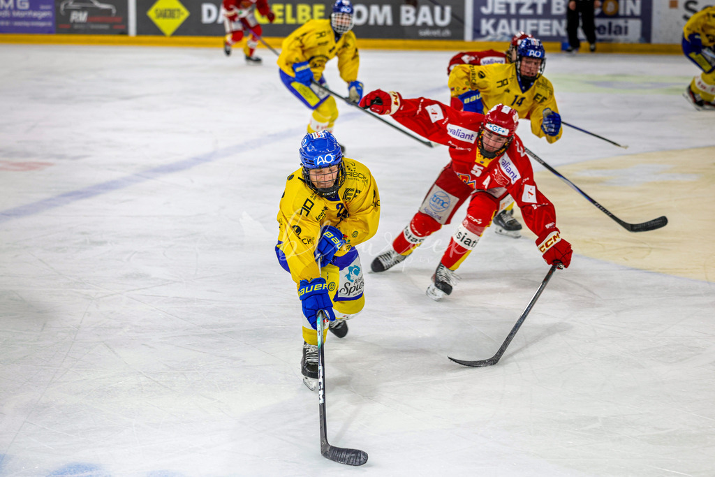 EHCB vs HCD-0086 | Sportbilder, Sportfotograf, Hochzeits- und Eventfotografin, Flugshows, Portraits und Tiershooting, Aviation, Downhill, Nationalleague, Swissleague, International