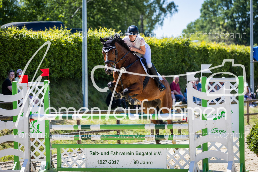 Donop24-L-Spr-037 | MomenTaufnahmen Pferdesportfotos