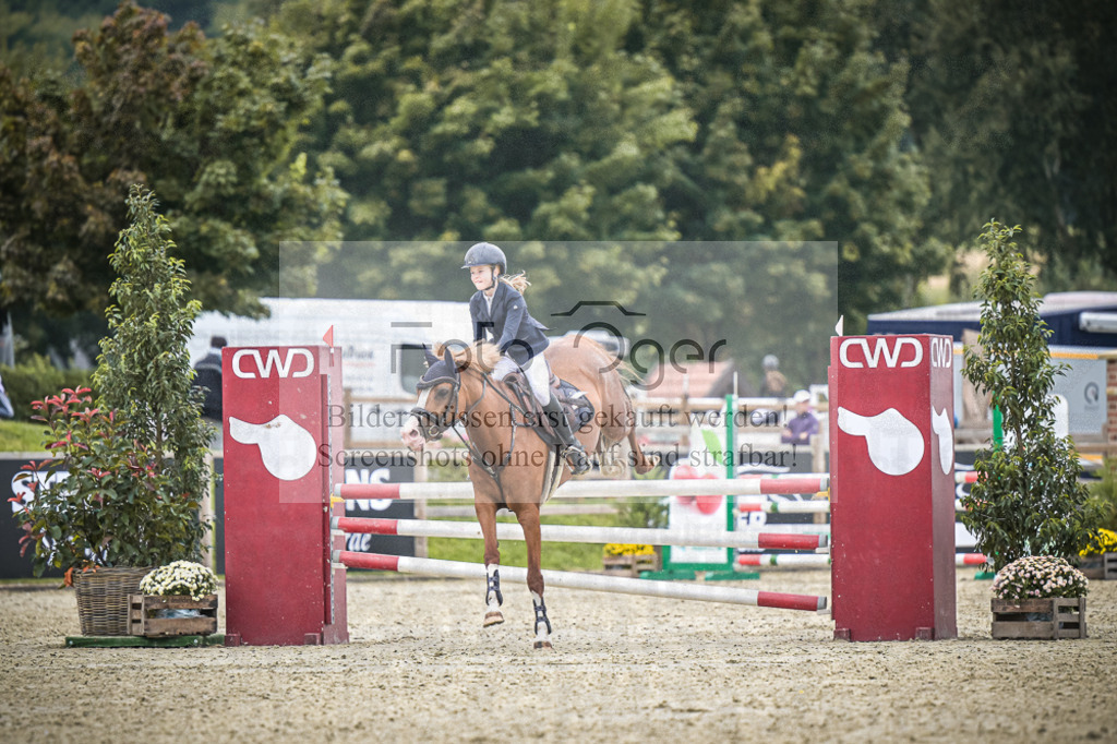 DOS_0326 | Entdecke hochwertige Reitturnierfotos von Foto Oger. Professionell, emotional und authentisch – jetzt Lieblingsmomente im Shop bestellen.Deutschlandweite Turnierfotografie. - Realisiert mit Pictrs.com