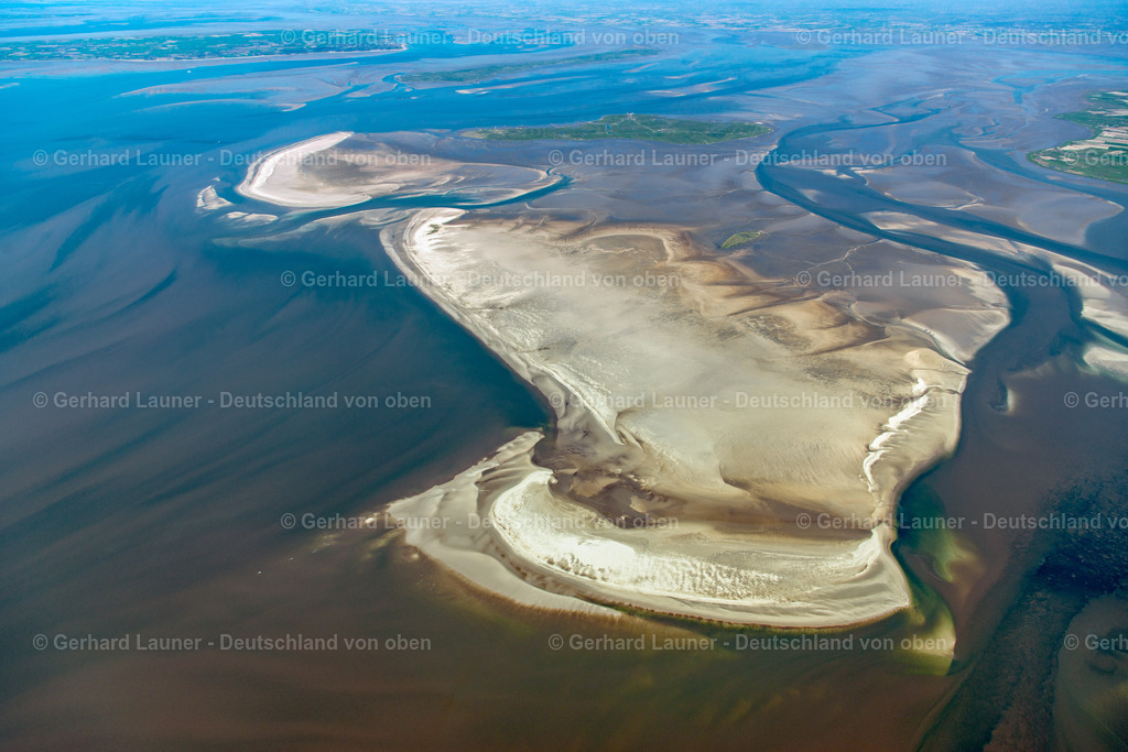 3801675 | Norderoogsand, Nationalpark Schleswig-Holsteinisches Wattenmeer