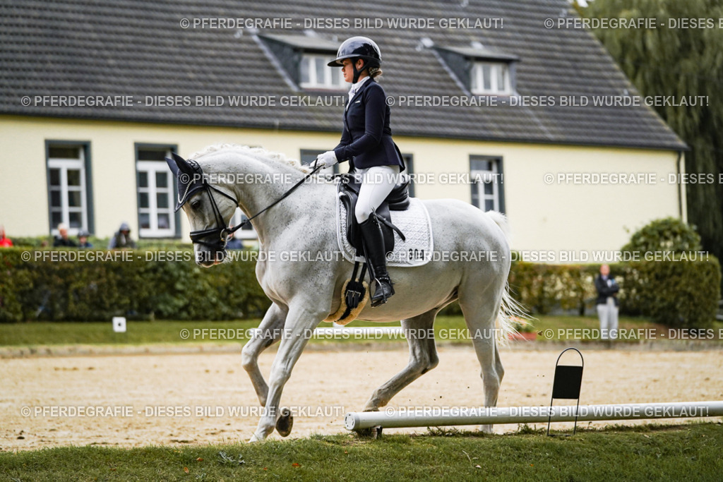 DSC06550 | Pferdegrafie