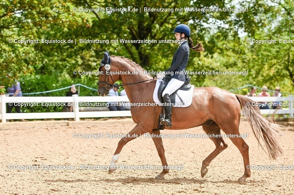 20230716_03_Dressurprfg. Kl.L - Tr._0314 | equistock