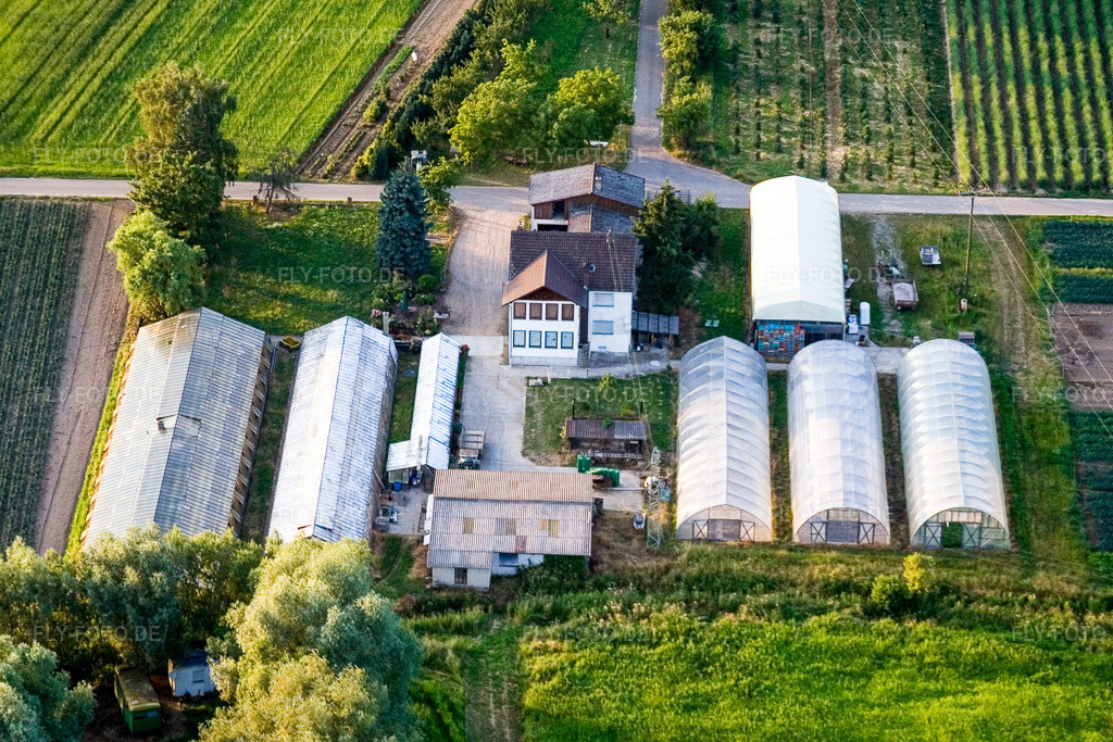 Luftbild: Erlenhof in Erlenbach bei Kandel im Bundesland Rheinland-Pfalz in Deutschland. Foto: IMG_3306.jpg vom 04.07.2006 durch Werner Riehm/FLY-FOTO.de