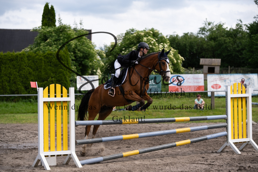 A7V04821 | Pferdefotograf