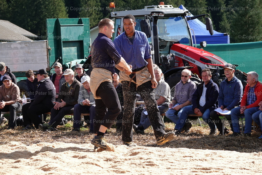 DSC00053 | Schwingen - Realisiert mit Pictrs.com